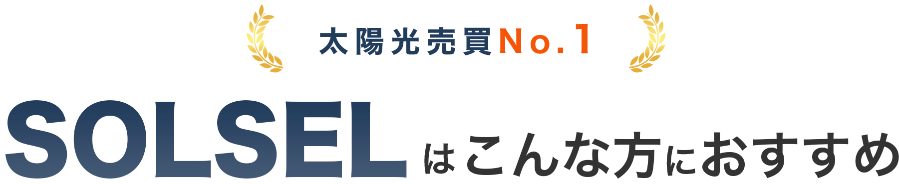 SOLSELはこんな方におすすめ