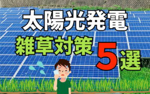 太陽光発電の雑草対策5種類を紹介。雑草トラブルについても解説