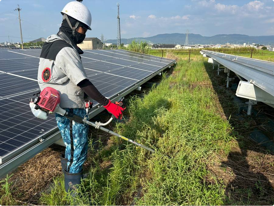 専門スタッフによる除草作業
