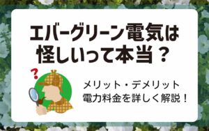 エバーグリーン電気は怪しいって評判は本当？メリット・デメリットや電力料金を解説